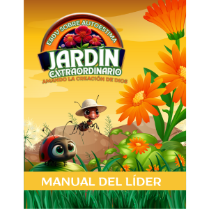Manual del Director